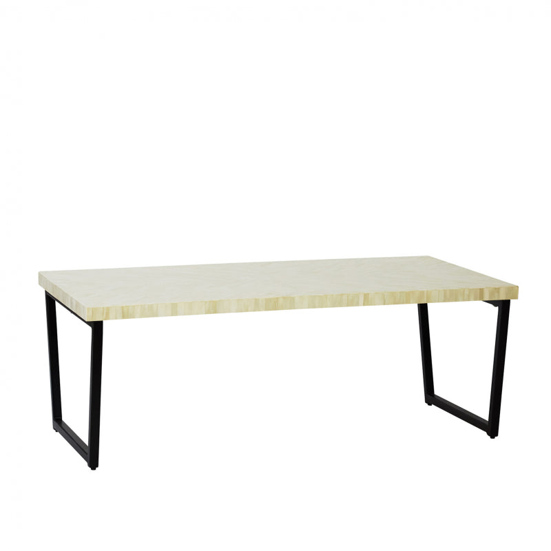 Tonia Bone Inlay Coffee Table